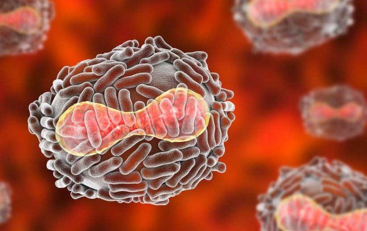 Alemania encarga 40.000 dosis de vacunas como precaución ante propagación de la viruela del mono