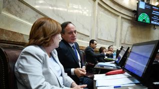 Camau Espínola y Alejandra Vigo, los dos representantes de Provincias Unidas en el Senado.