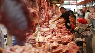 El gobierno busca destrabar las habilitaciones de carne en China y aprovechar oportunidades en otros mercados. El gobierno busca destrabar las habilitaciones de carne en China y aprovechar oportunidades en otros mercados.