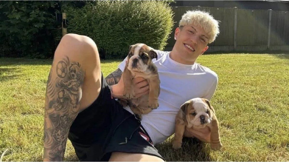 Alejandro Garnacho rewarded a fan that found his lost dogs: What did he give him?
