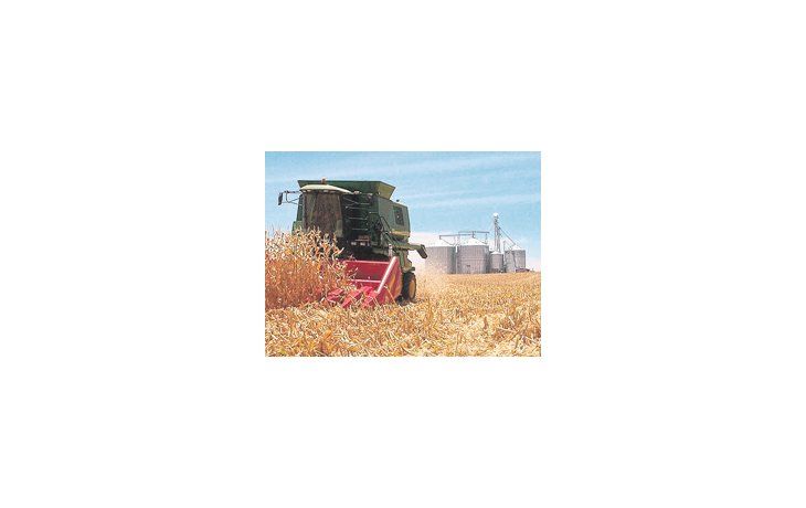 Según estimaciones del Ministerio de Agricultura, se terminará el año con una industrialización récord de 3,6 millones de toneladas.