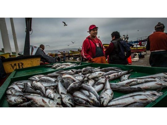 Para contribuir a la conservación y racional explotación de la especie merluza mediante el establecimiento de áreas de veda que protejan las concentraciones de juveniles de dicha especie en la Zona Común de Pesca.