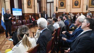 El intendente Javkin, de Rosario, cuando expuso en la Comisión de Transporte del Senado.