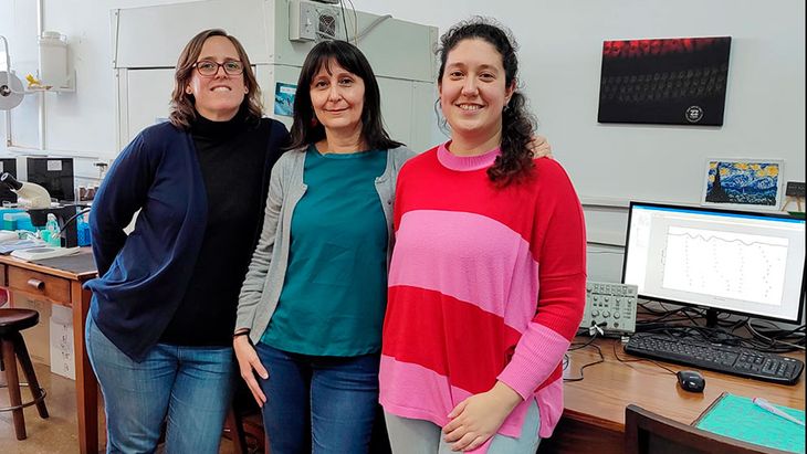 Jimena Ballestero, María Eugenia Gómez Casati y Valeria Castagna, investigadoras del CONICET, en el Instituto de Farmacología de la Facultad de Medicina de la UBA.