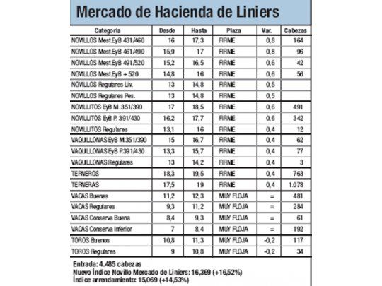 Fuerte suba del Novillo: 16,52%