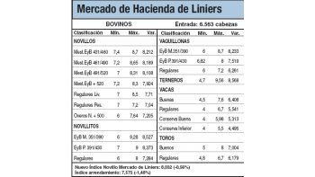 Los novillitos subieron un 1%