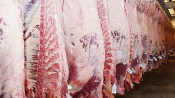 La exportación de carne a China cayó un 43% interanual en octubre.