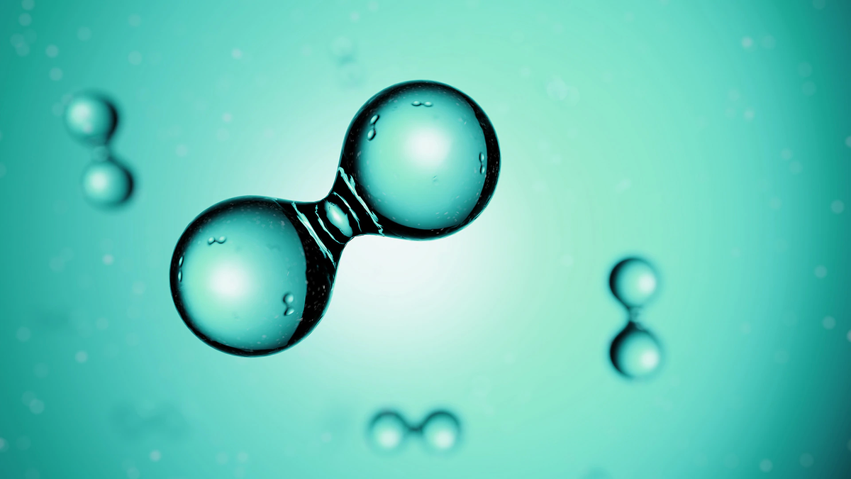The United States sees Uruguay as a partner for the expansion of green hydrogen