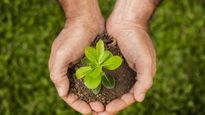Sustentabilidad empresarial: ¿solo una tendencia o también una necesidad?