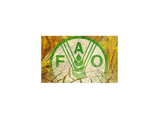 Para FAO la actividad agrícola crecería 38% este año