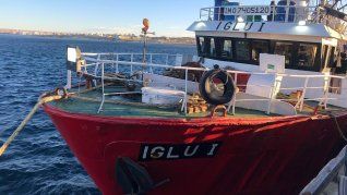 Las unidades como Iglú I permitirán aumentar la captura de langostino fresco en unas 1.400 toneladas anuales. Las unidades como Iglú I permitirán aumentar la captura de langostino fresco en unas 1.400 toneladas anuales.