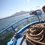 La pesca tuvo un aumento del 300% interanual en julio.