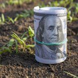 Los u$s7.000 millones que fueron liquidados en septiembre correspondían a exportaciones que tradicionalmente eran realizadas en el último tramo del año. Los u$s7.000 millones que fueron liquidados en septiembre correspondían a exportaciones que tradicionalmente eran realizadas en el último tramo del año.