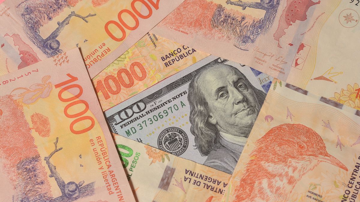 The request to accelerate the crawling PE and the data that reveals the distrust of the market