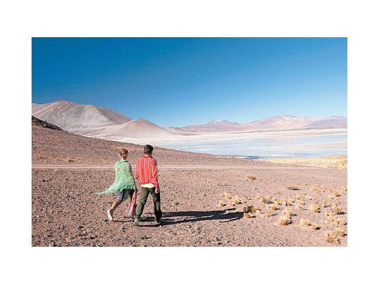 Las lagunas altiplánicas llegan a ubicarse por encima de los 4.300 metros sobre el nivel del mar.