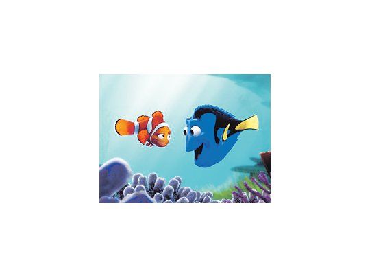 BUSCANDO A NEMO