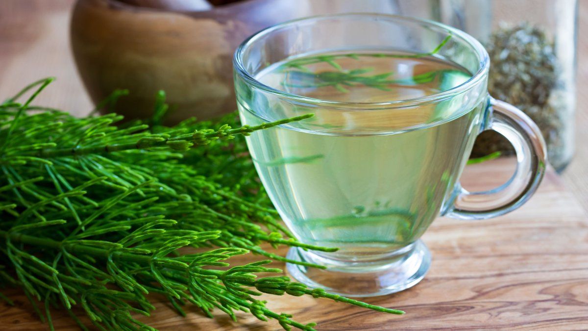 The infusion that works as diuretic and eliminates the toxins of your body