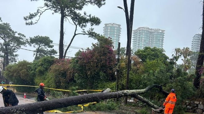 El ciclón extratropical se hace sentir en Uruguay y pone en pausa la temporada en Punta del Este