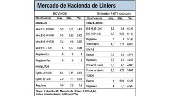 Bajas del 2,7% en Mercado de Liniers