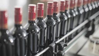 ámbito.com | P.10Vinos_opt.jpeg