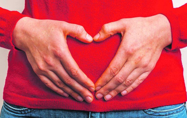 ámbito.com | Intestino4.jpg