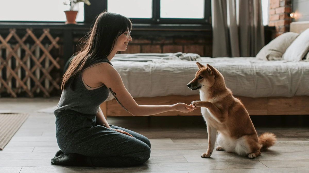 Do you love having pets but don’t have time or space?  These are the ideal animals for you