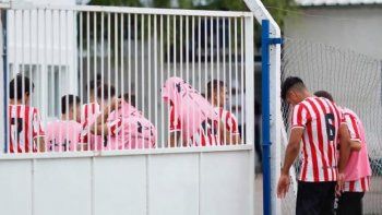 insolito: invasion de abejas obligo a suspender la reserva de central cordoba y estudiantes