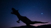 ¿La Biblia habla de los dinosaurios?: qué dice el libro sagrado