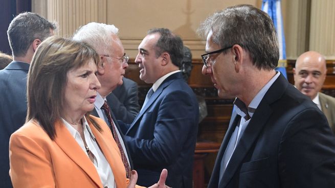 Patricia Bullrich junto al titular del bloque radical, Ignacio Vischi.