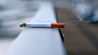 El sector tabacalero de la provincia de Misiones manifestó su repudio hacia los dos diputados nacionales de la provincia que votaron en contra de la incorporación del Capítulo del Tabaco en la Ley Bases.