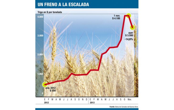 ámbito.com | Se desplomó 15% el trigo (precio aún es alto y bajará más)