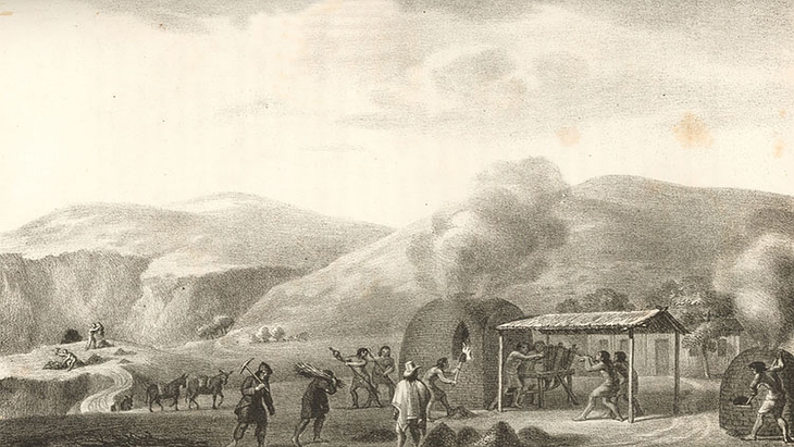 El 7 de mayo de 1813 la Asamblea sancionó la primera ley de fomento minero, conocida con el nombre de “Reglamento de Mayo”, con la cual se liberó de aranceles la introducción de maquinaria y utensilios destinados a la explotación minera y se declaró libre la comercialización del azogue o mercurio utilizado a las operaciones de beneficio del oro y la plata. El 7 de mayo de 1813 la Asamblea sancionó la primera ley de fomento minero, conocida con el nombre de “Reglamento de Mayo”, con la cual se liberó de aranceles la introducción de maquinaria y utensilios destinados a la explotación minera y se declaró libre la comercialización del azogue o mercurio utilizado a las operaciones de beneficio del oro y la plata.