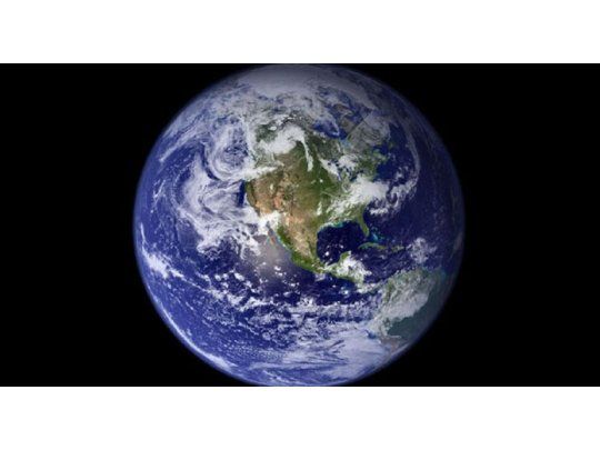 Advertencia científica: la Tierra se encamina a una nueva etapa de extinción masiva