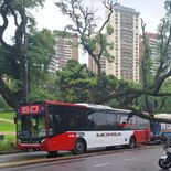 El choque obligó a frenar el tránsito en las Barrancas de Belgrano. El choque obligó a frenar el tránsito en las Barrancas de Belgrano.