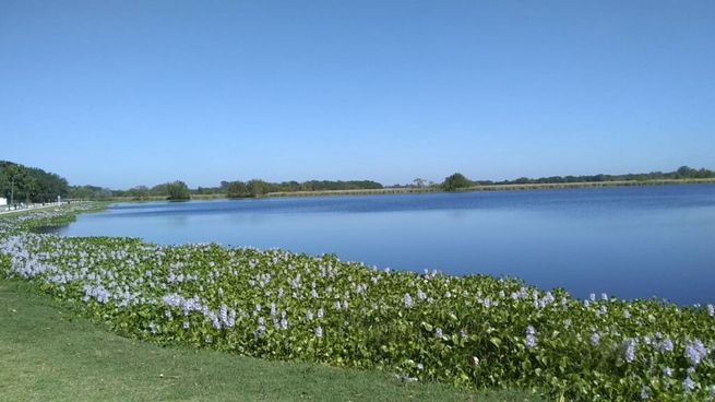 Podes llegar en menos de una hora desde la ciudad porteña por las rutas 6, 58 o 210.