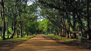 La naturaleza y la tranquilidad se juntan en este sitio haciéndola ideal para vacacionar. La naturaleza y la tranquilidad se juntan en este sitio haciéndola ideal para vacacionar.