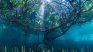 The incredible winning images of the International Garden Photographer Award. The incredible winning images of the International Garden Photographer Award.