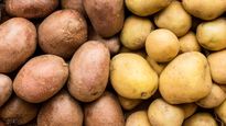 Las papas son especialmente ricas en almidón, potasio y las vitaminas C y B6.