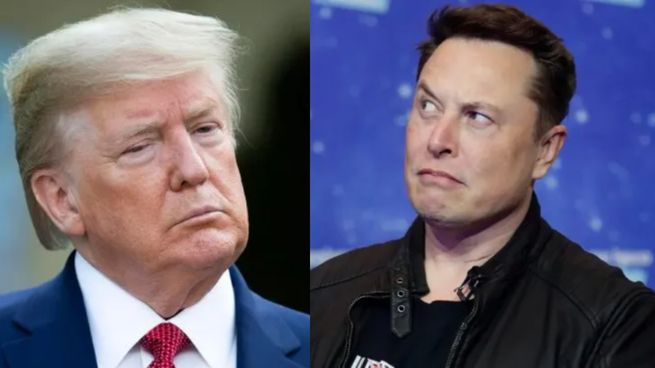 Elon Musk gastó más de u$s200 millones para ayudar a que Trump fuera elegido.