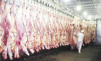 PROCESO. Según informó el Senasa “la Argentina dio comienzo al trámite para la apertura del mercado de Israel para la carne bovina con hueso kosher”. En cambio, Uruguay y Paraguay ya cuentan con las autorizaciones.