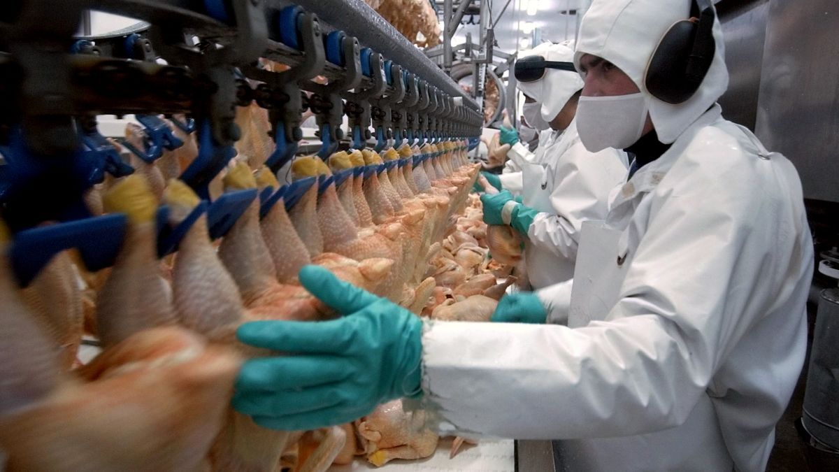 Paritarias: Uatre acordó un aumento del 82% para trabajadores avícolas
