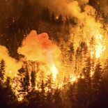 En total, el fuego ya consumió más de 12.000 hectáreas. En total, el fuego ya consumió más de 12.000 hectáreas.