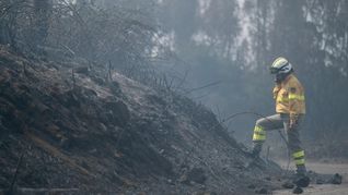 Incendio en Tenerife