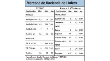 Poco interés de los compradores en Liniers
