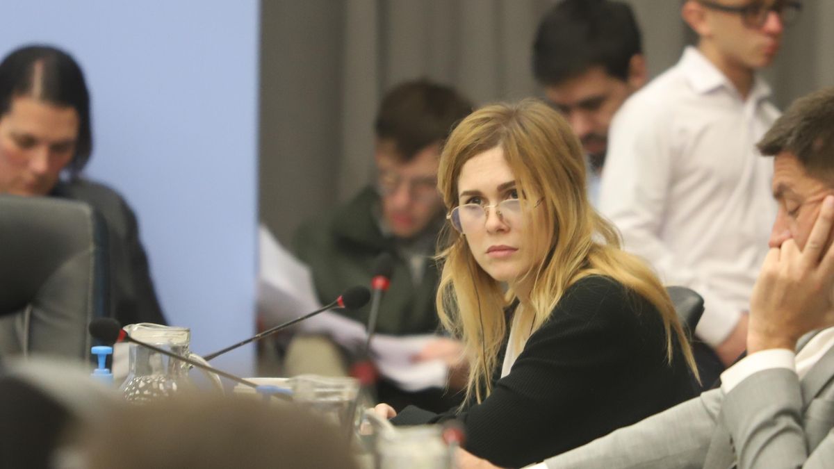 Atacaron a piedrazos la casa de Lilia Lemoine: hay un detenido