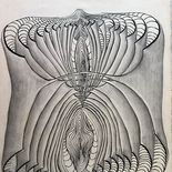 continente oscuro: el surrealismo hecho por mujeres toma el macba continente oscuro: el surrealismo hecho por mujeres toma el macba