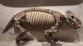 Dinodontosaurus isiyavamanda vivió hace 240 millones de años en Tanzania.