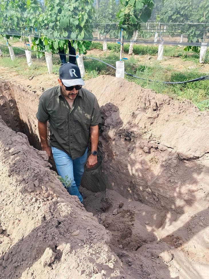 Germán Rubio, responsable de Fincas y Viñedos de la bodega. Germán Rubio, responsable de Fincas y Viñedos de la bodega.