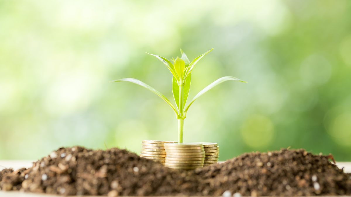 Can monetary emission contribute to sustainability?