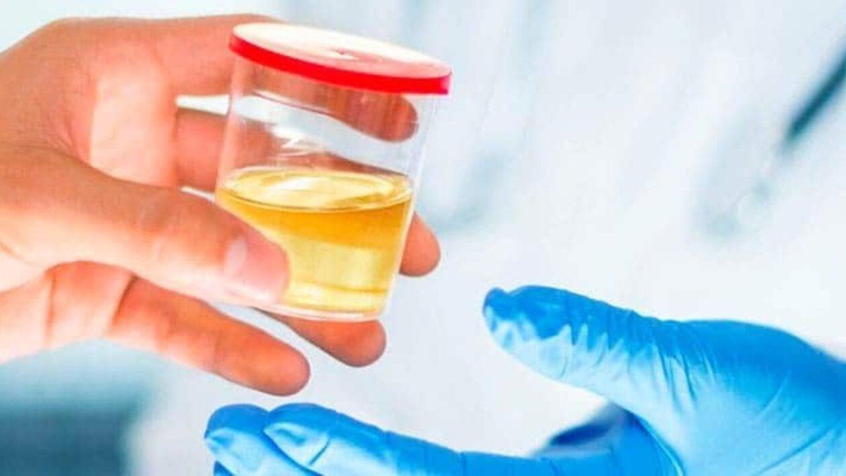 A province will implement the narco test for state officials and employees
